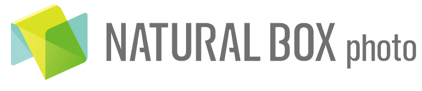 福岡の広告カメラマン｜料理・モデル・商品撮影｜和田洋平｜ナチュラルボックスフォト